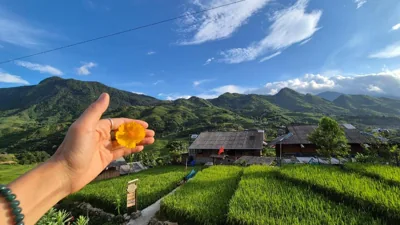 The Zen House Sapa – Fotos 4